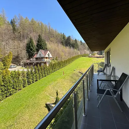 D23 Kurort Kozubnik - Daglezja - Wgh Rent Porąbka