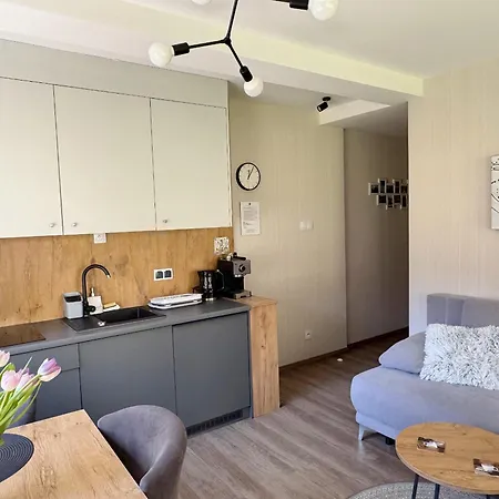 D23 Kurort Kozubnik - Daglezja - Wgh Rent Porabka