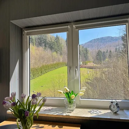 D23 Kurort Kozubnik - Daglezja - Wgh Rent Appartement Porąbka
